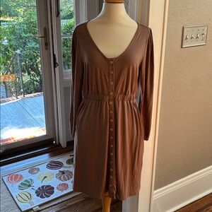 Brown Button-Down Dress